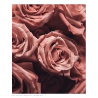 LUXIO GEL 276 MADEMOISELLE