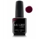 LUXIO GEL 101 MYSTERY LUXIO GEL 101 MYSTERY