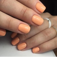 LUXIO GEL 122 PIXIE