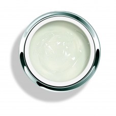 Pro Formance Structure Gel 45г