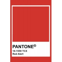 Головні кольори осінь-зима 2021/22 від Pantone